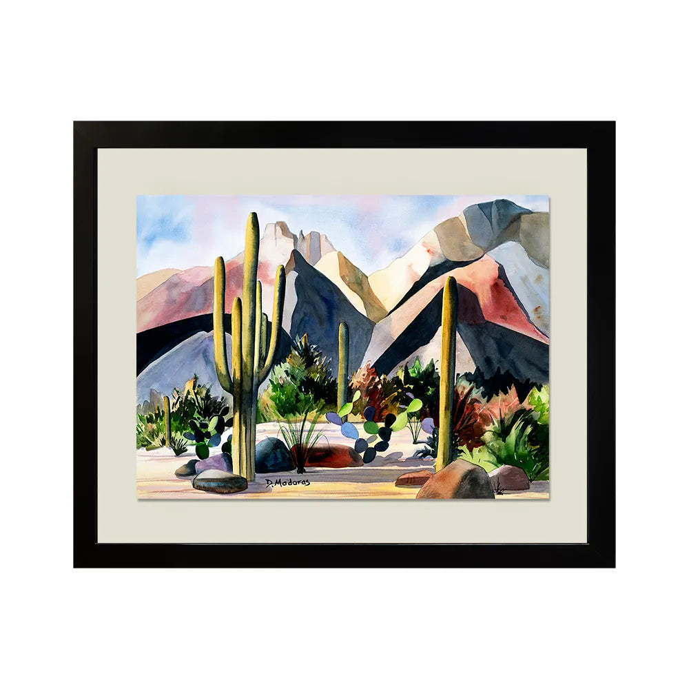 Framed Watercolor Print 18x24"- The Catalinas