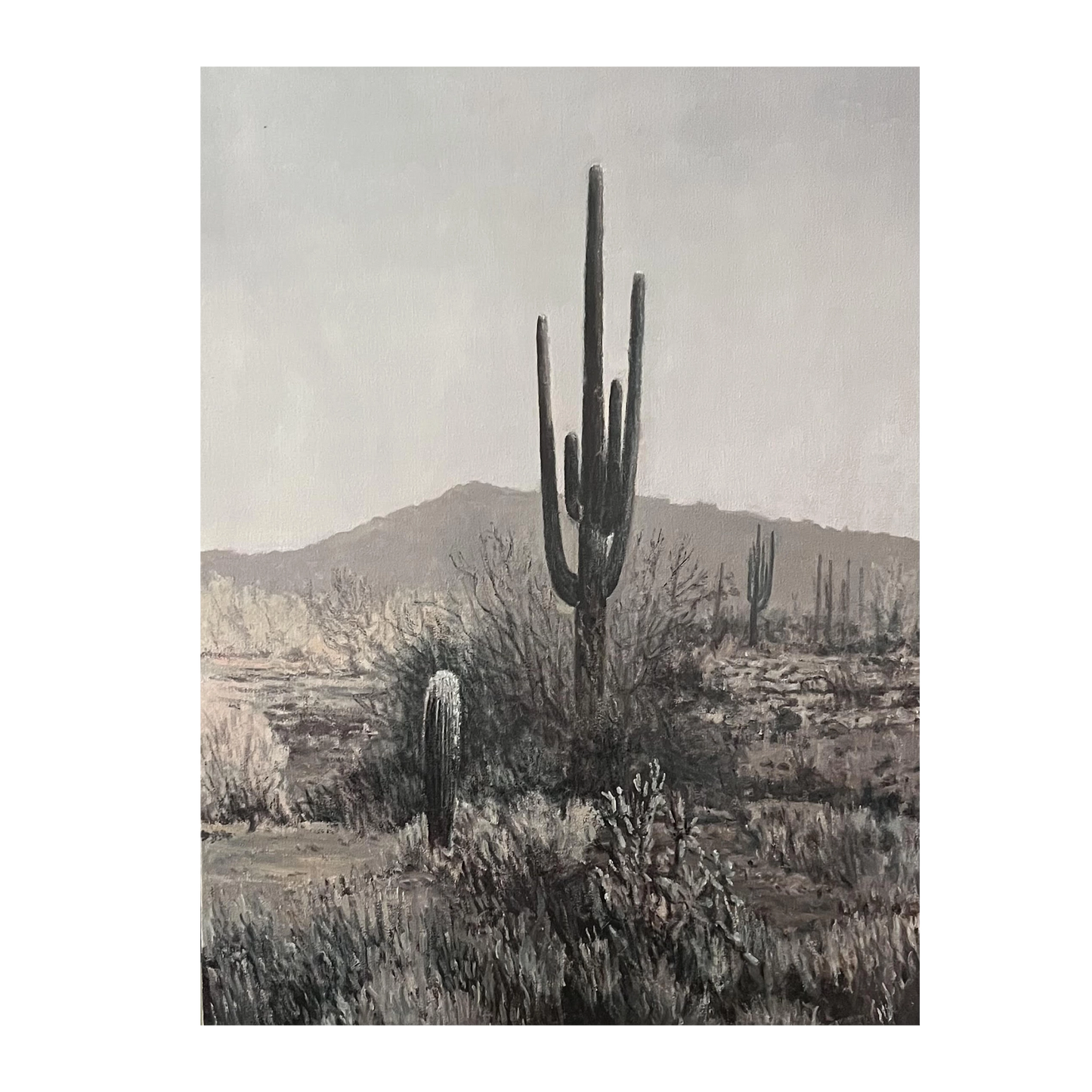The Desert in Black & White by John Horejs