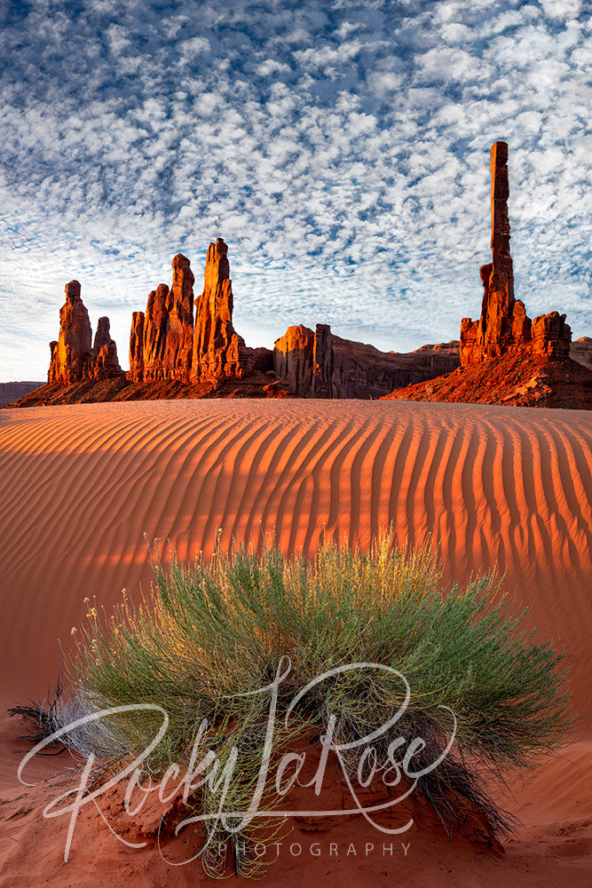 Sands of Yei Bi Chei by Rocky LaRose