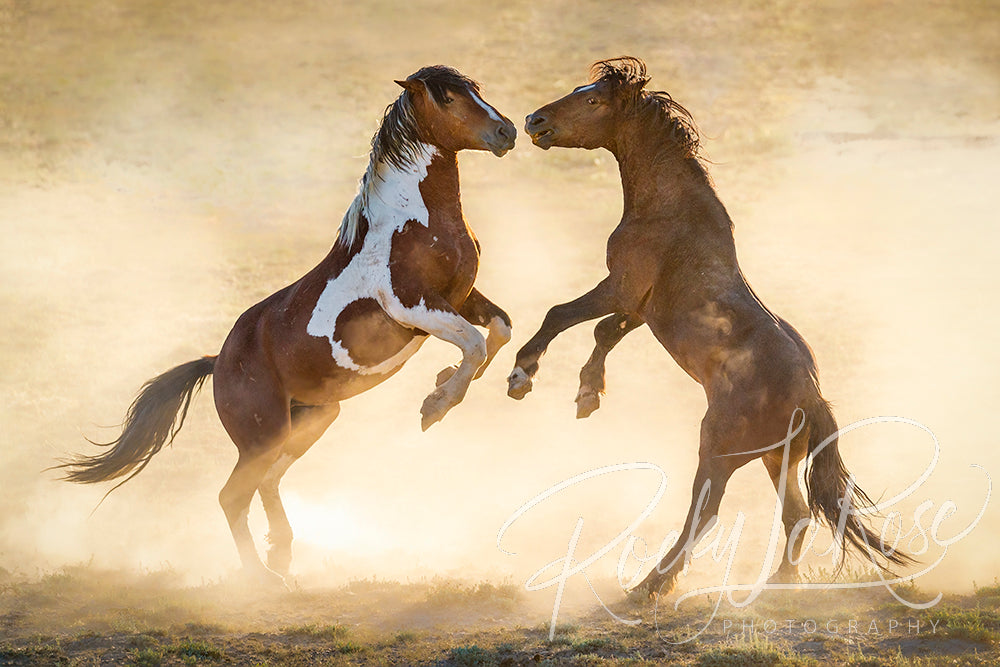 Dusty Battle by Rocky La Rose