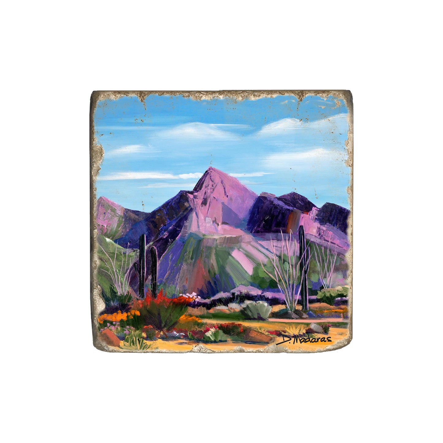 Pink Ocotillo at Pusch Ridge - Coaster