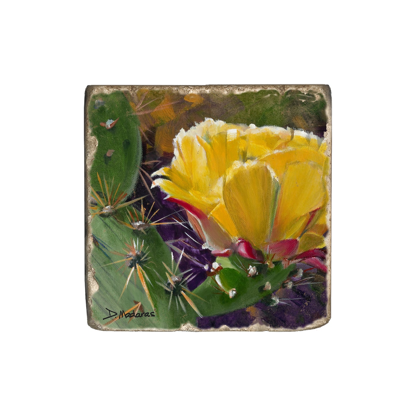 Prickly Pear Bloom - Coaster