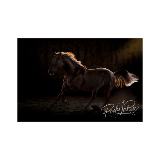 Luminous by Rocky LaRose - Canvas Giclee