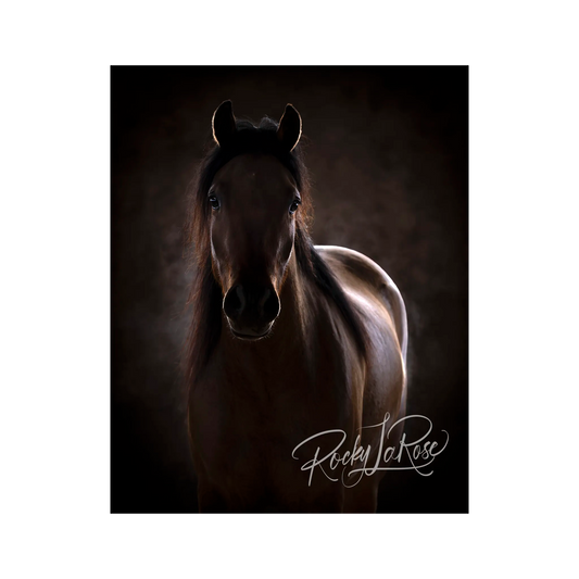 After the Race by Rocky LaRose - Metal Print