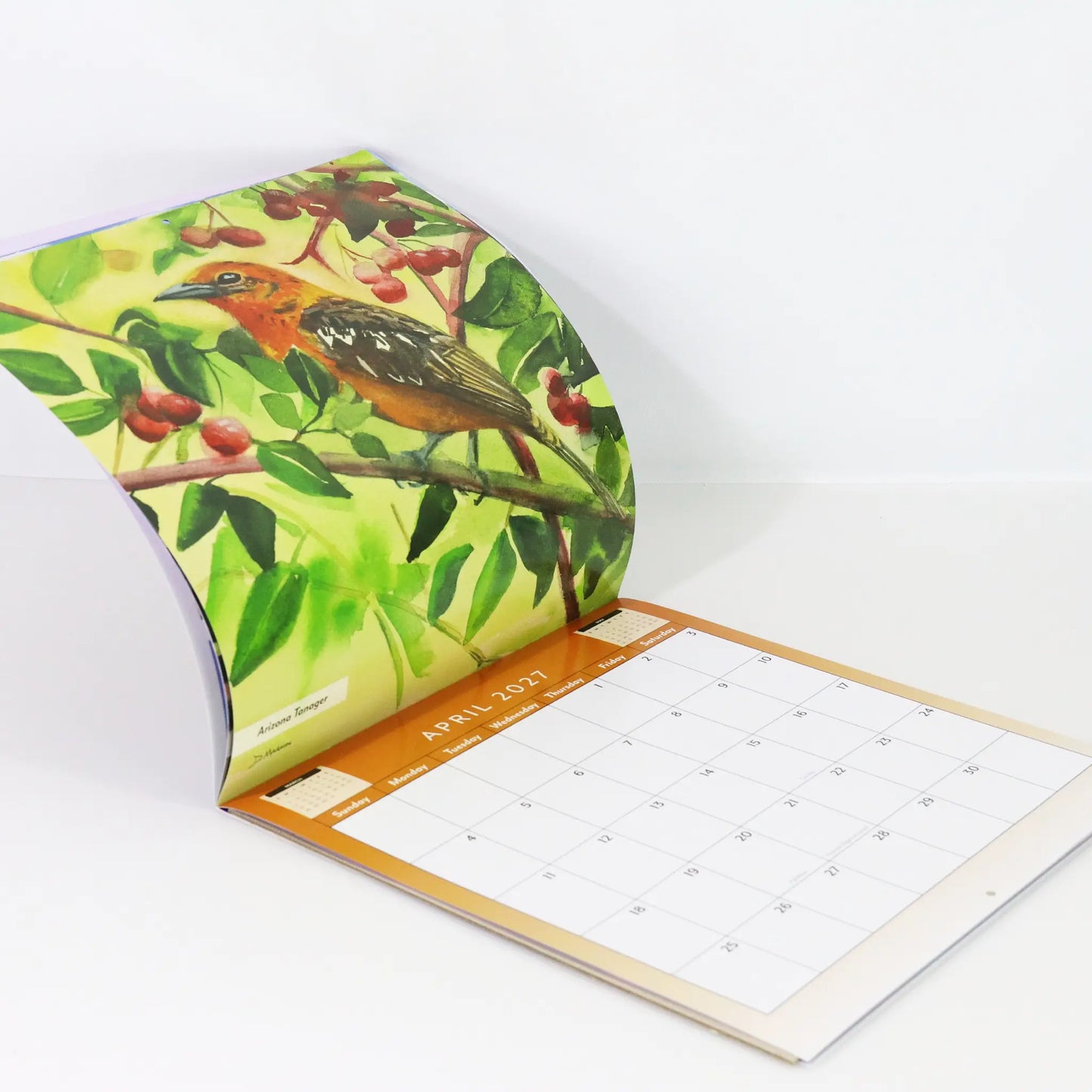 Southwest Wall Calendar 2027