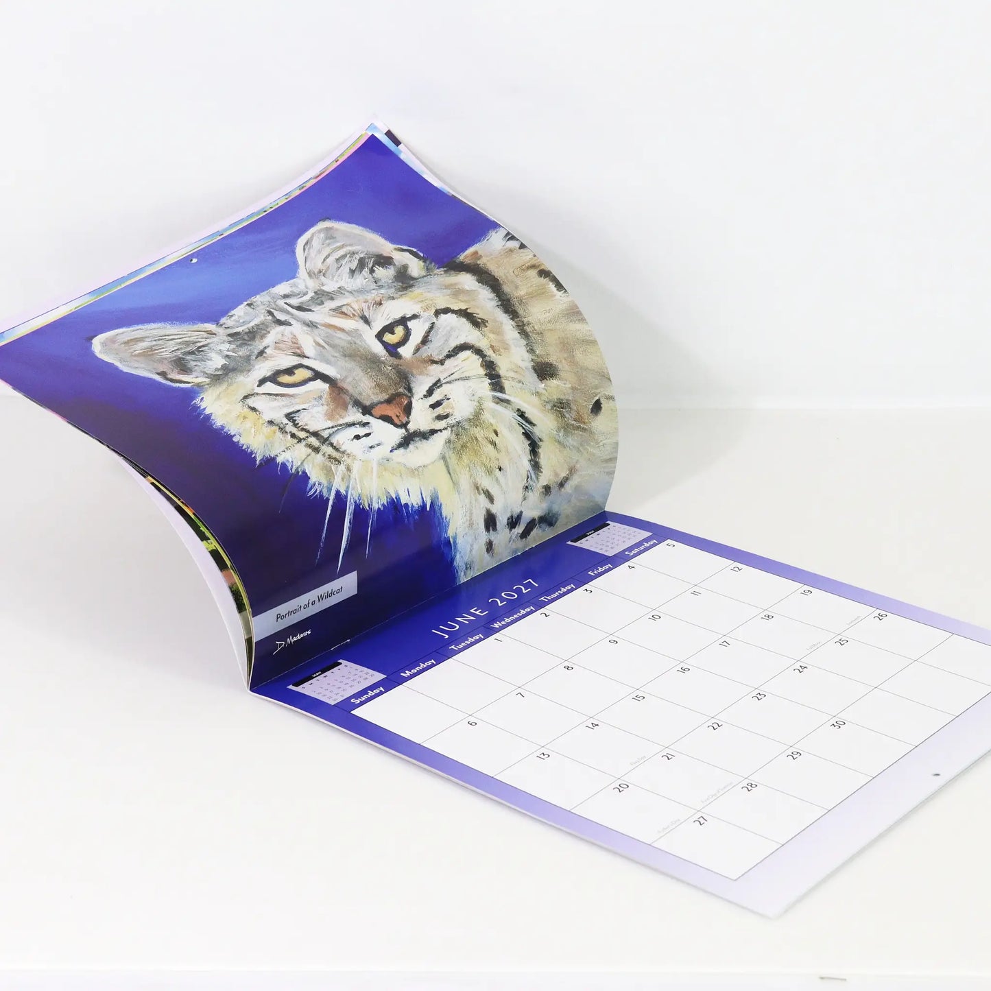 Southwest Wall Calendar 2027