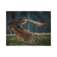 No Frame