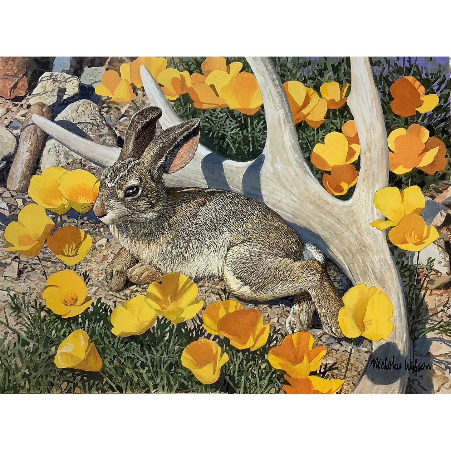 A Change Of Season by Nicholas Wilson