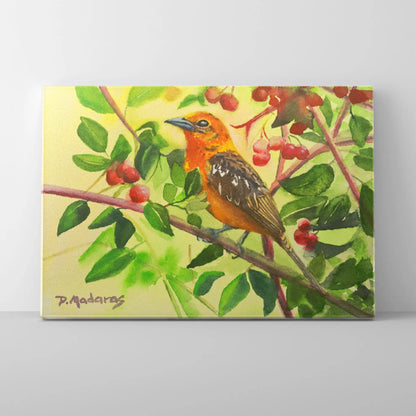 Arizona Tanager - Canvas
