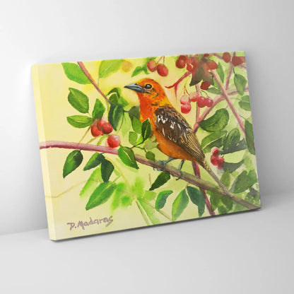 Arizona Tanager - Canvas