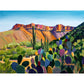 Aravaipa Canyon- Matted Print