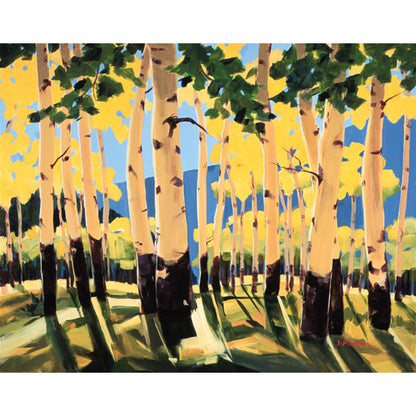 Arizona Aspens- Canvas