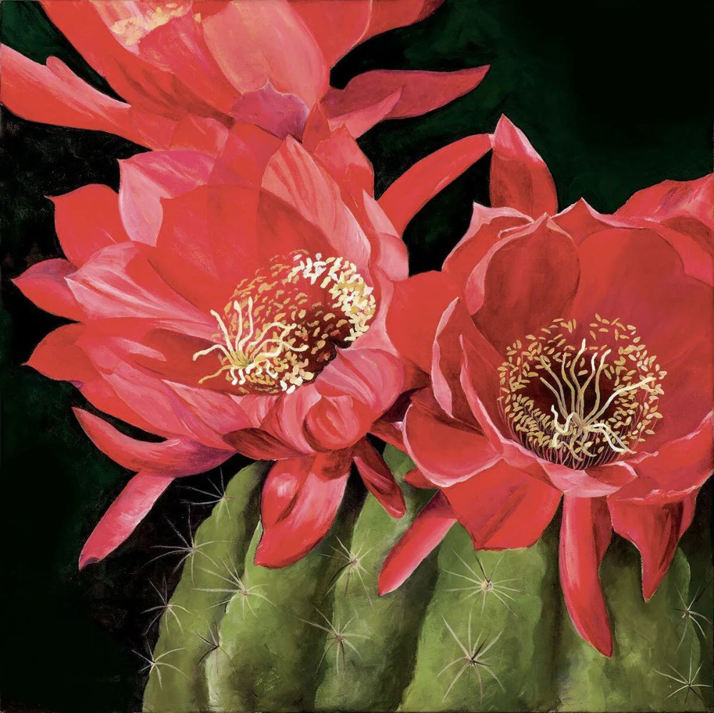 Barrel Cactus Bloom by Erynn Knowles