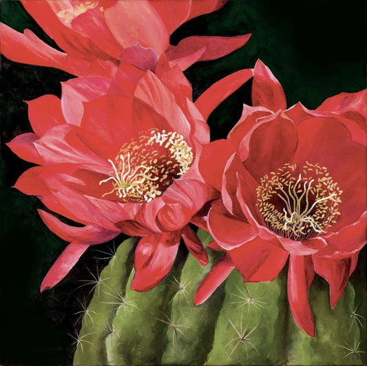 Barrel Cactus Bloom by Erynn Knowles