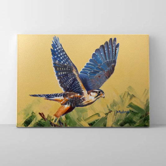 Blue Falcon- Canvas