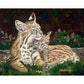 Bobcat Bonding- Canvas