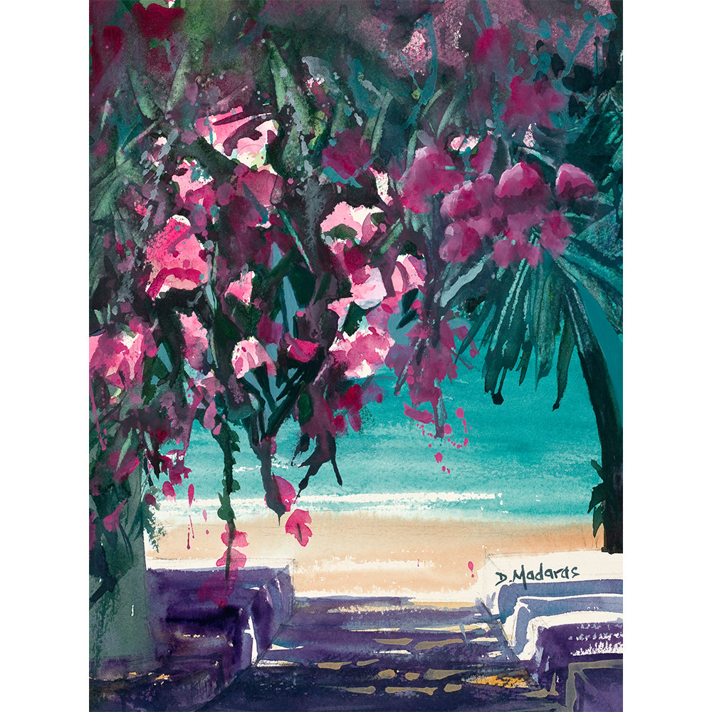 Bougainvillea by the Sea- Matted Print