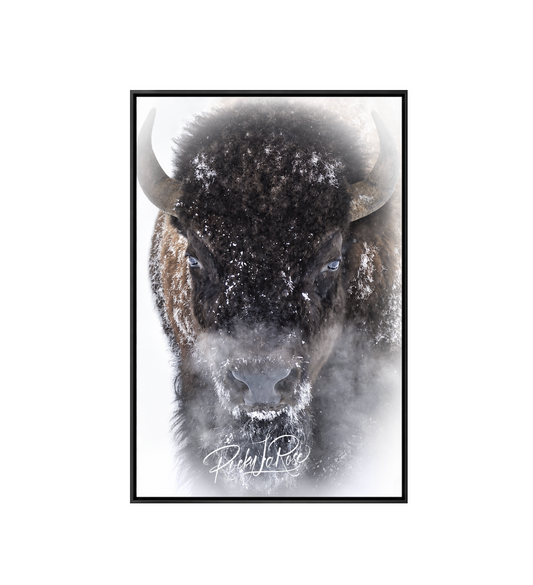 Breath of the Wild by Rocky LaRose - Framed Aluminum 20x30"