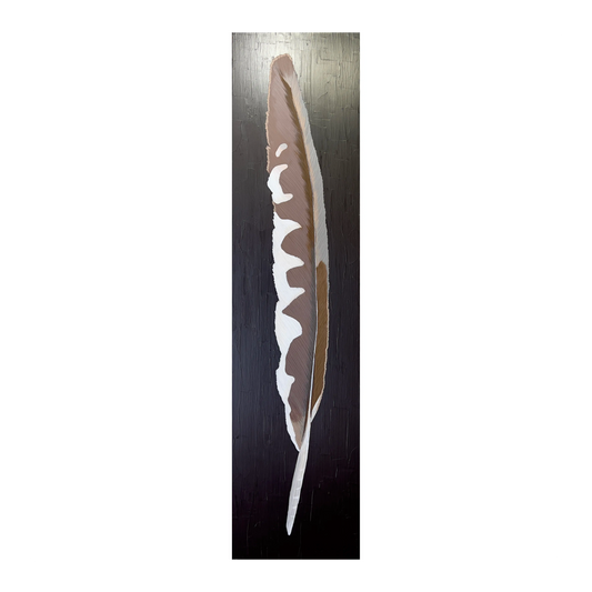 Kestrel Feather by Brit Hansen