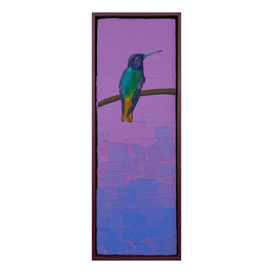 Rainbow Hummer by Brit Hansen