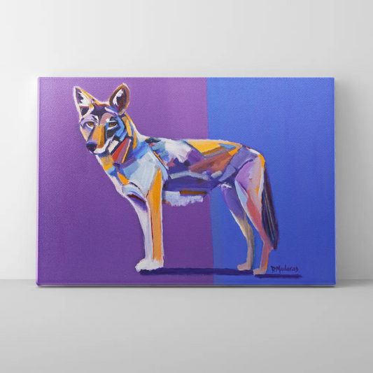 Coyote Pretty - Mini Canvas