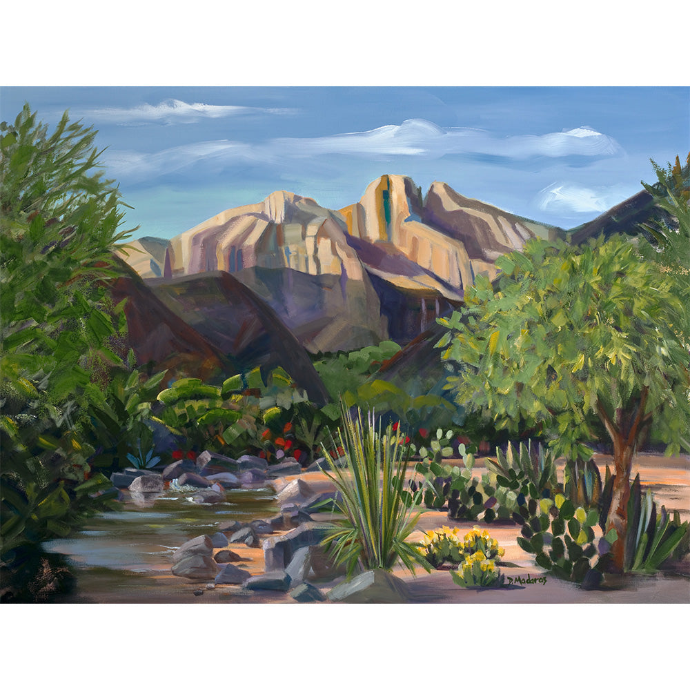 Canyon Stream- Matted Print