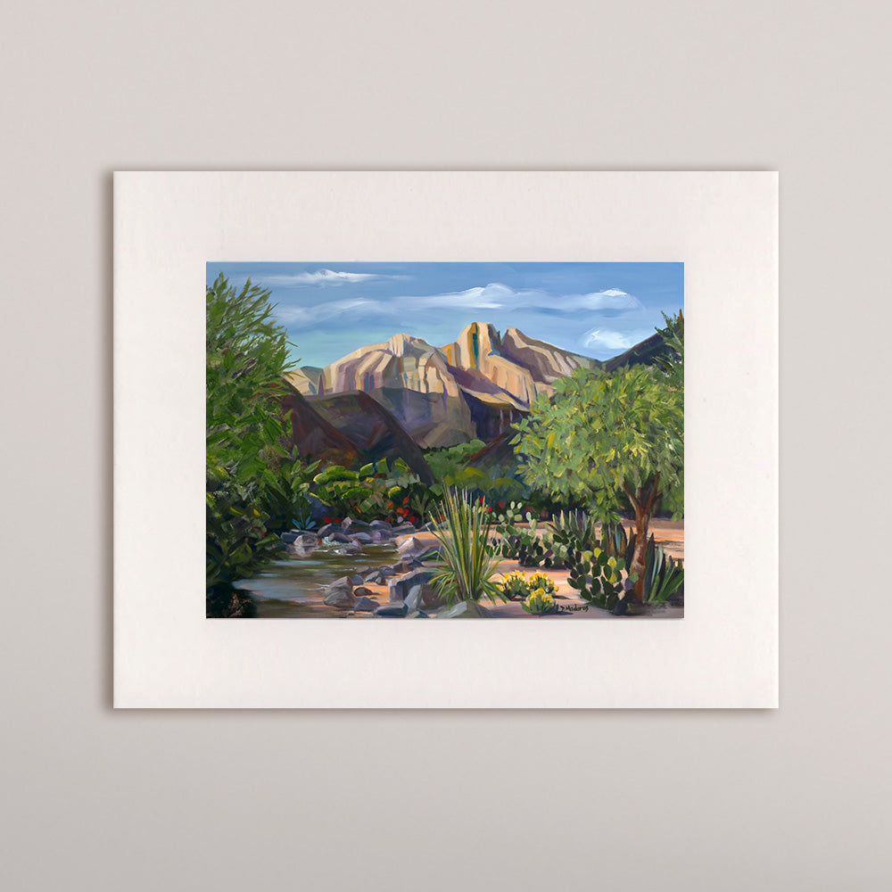 Canyon Stream- Matted Print