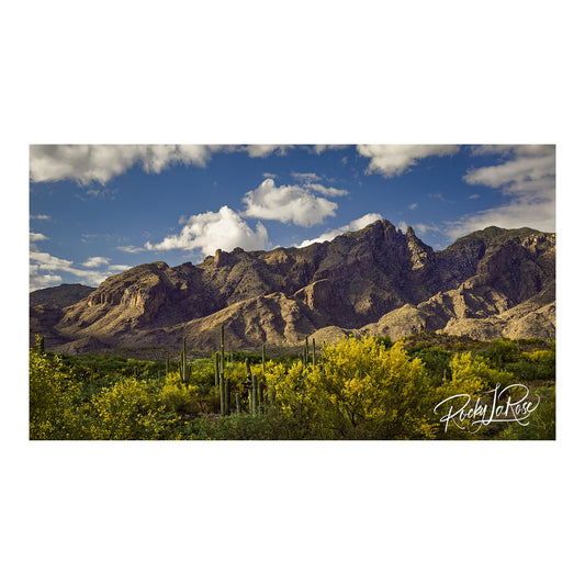 Catalina Colors by Rocky LaRose - Framed Aluminum 27x48"