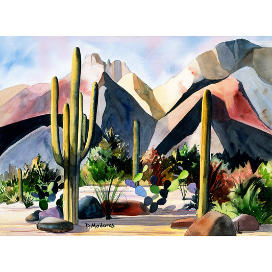 Framed Watercolor Print 16x20"- The Catalinas