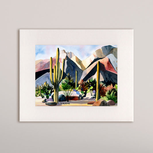 The Catalinas- Matted Print