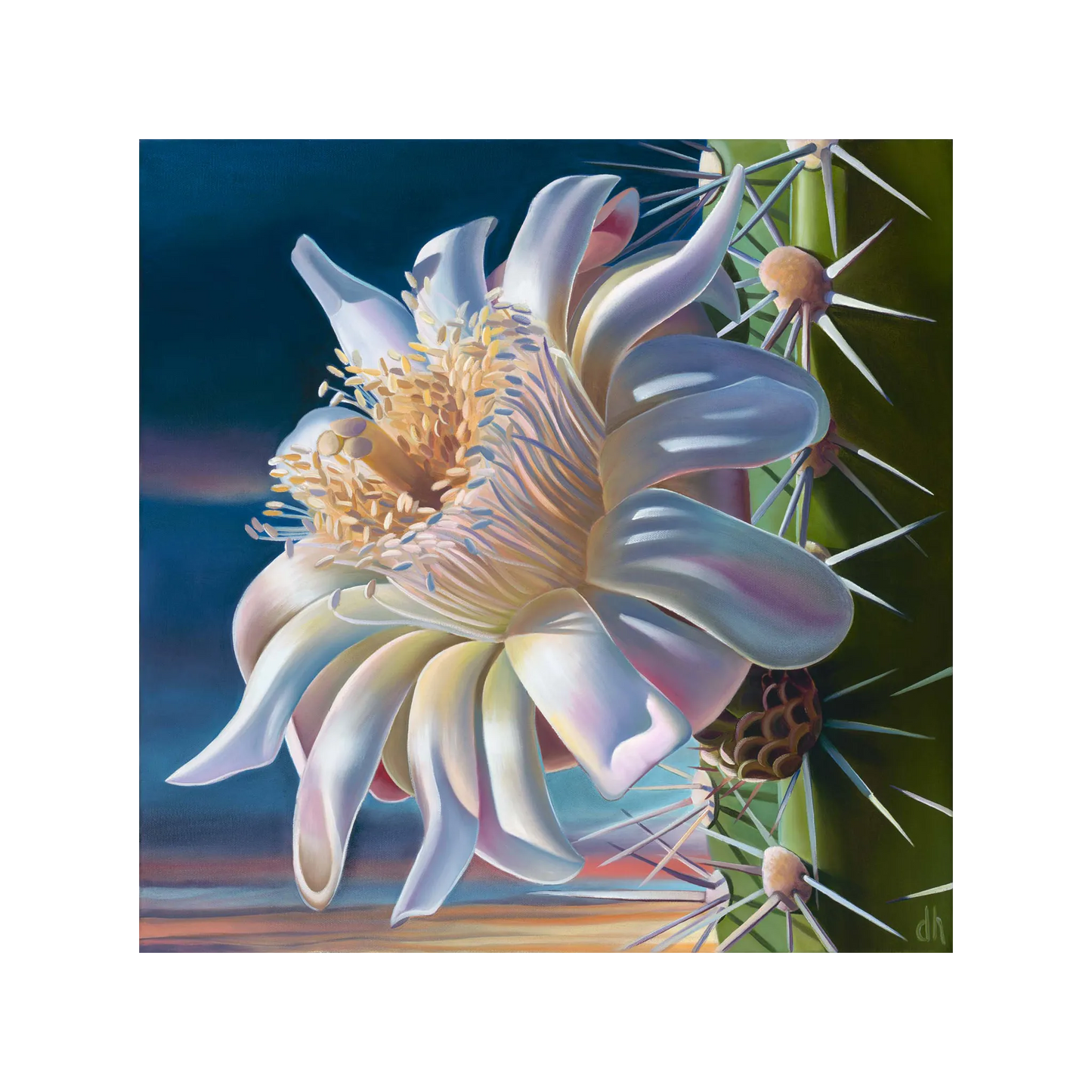 Arizona Pipe Dream by Dyana Hesson