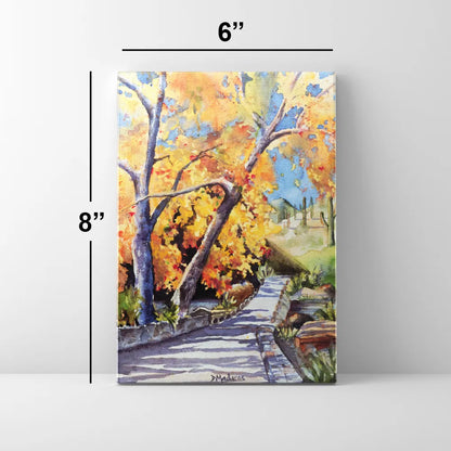 Walk in Sabino - Mini Canvas