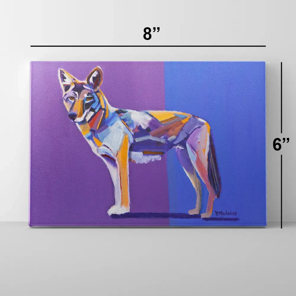 Coyote Pretty - Mini Canvas