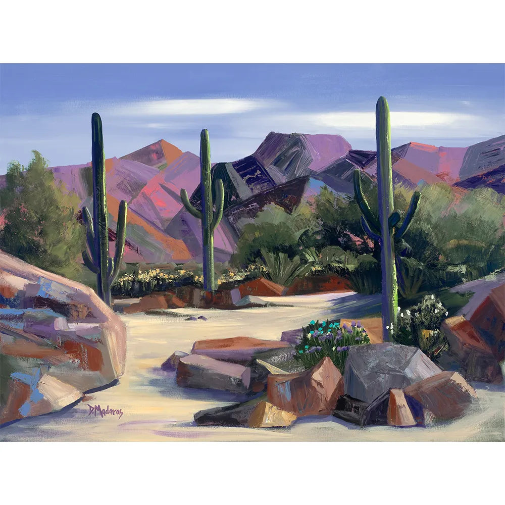 Dry River Bed- Canvas