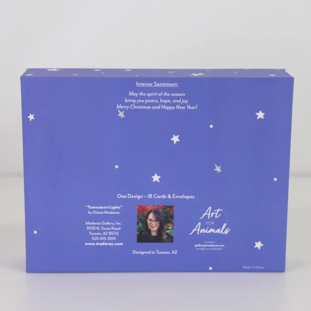Tumacácori Lights - Signature Holiday Card Box