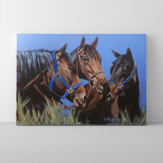 Horse Talk- Canvas