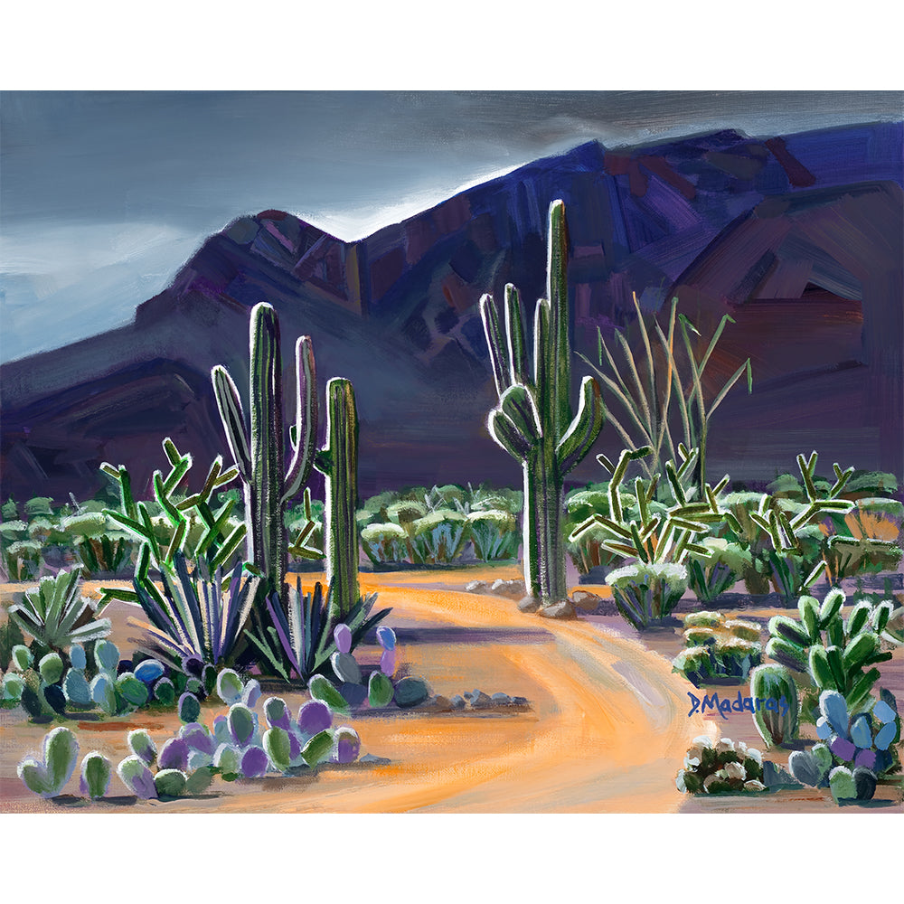 Illumination- Matted Print