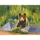Little Bear - Canvas
