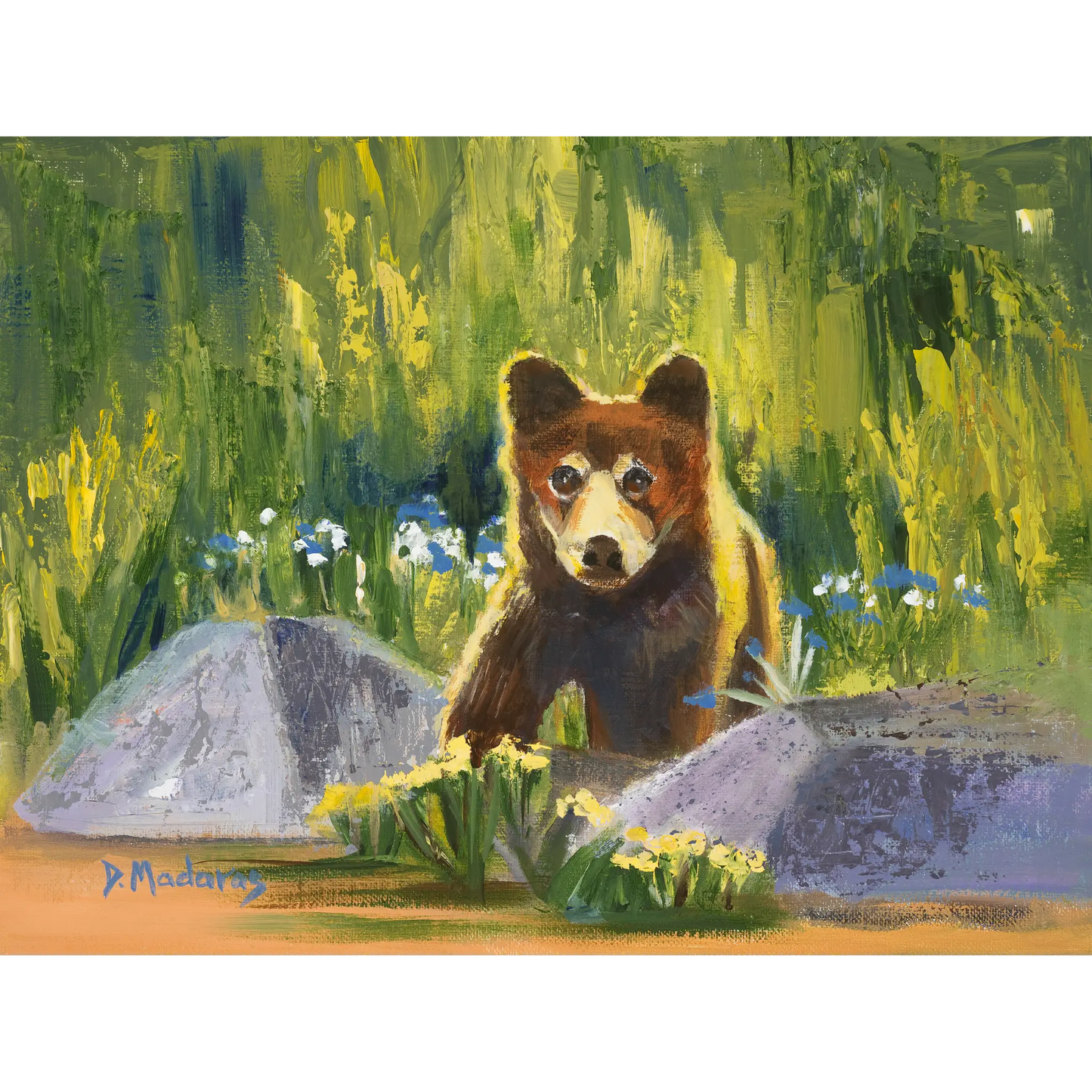 Little Bear - Canvas