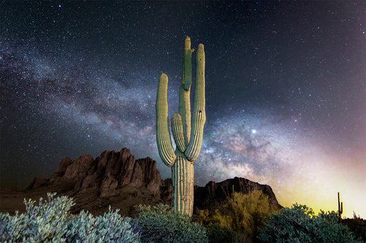 Lost Dutchman Saguaro by Ray Del Muro