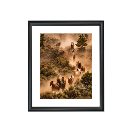 La Remuda 24x30"-Framed Photography by Rocky LaRose