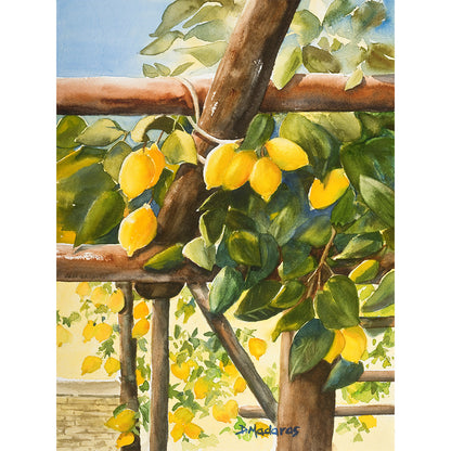 Land of Lemons- Canvas