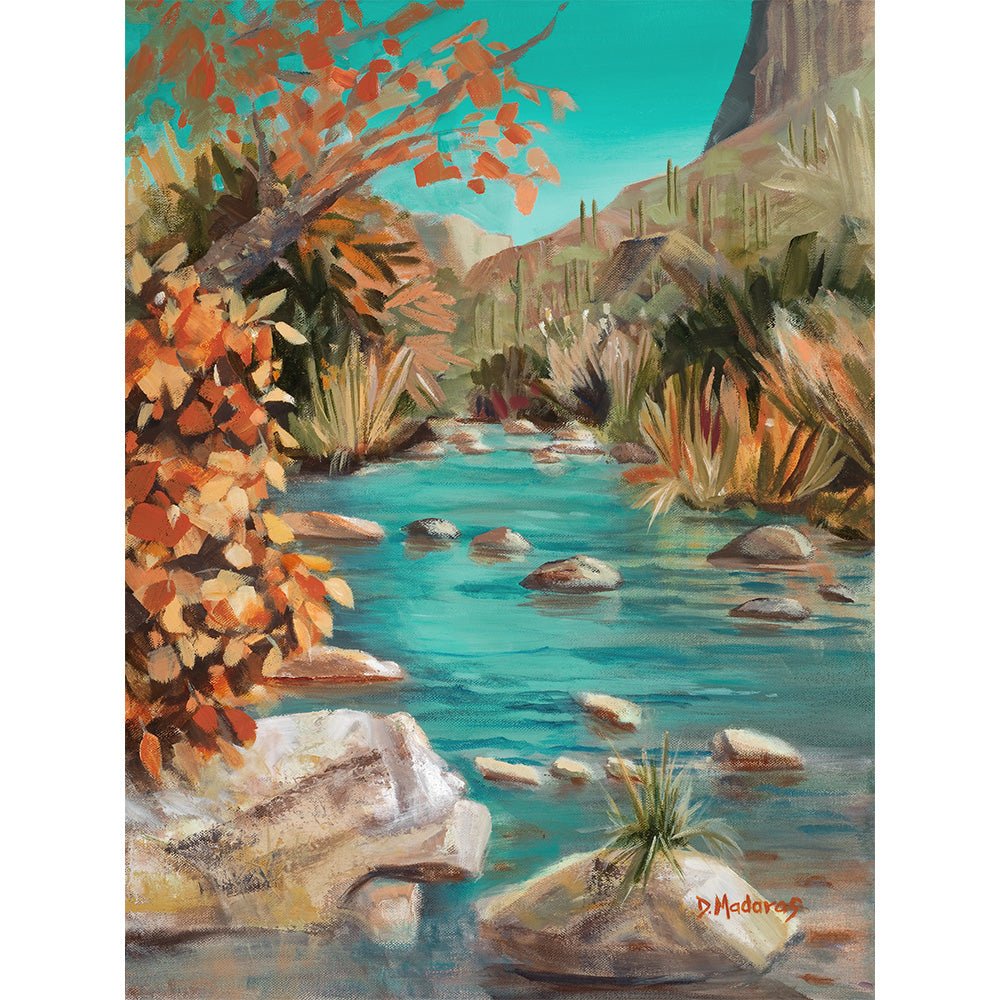 Late Fall in Sabino- Matted Print