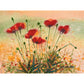 Little Poppies- Canvas