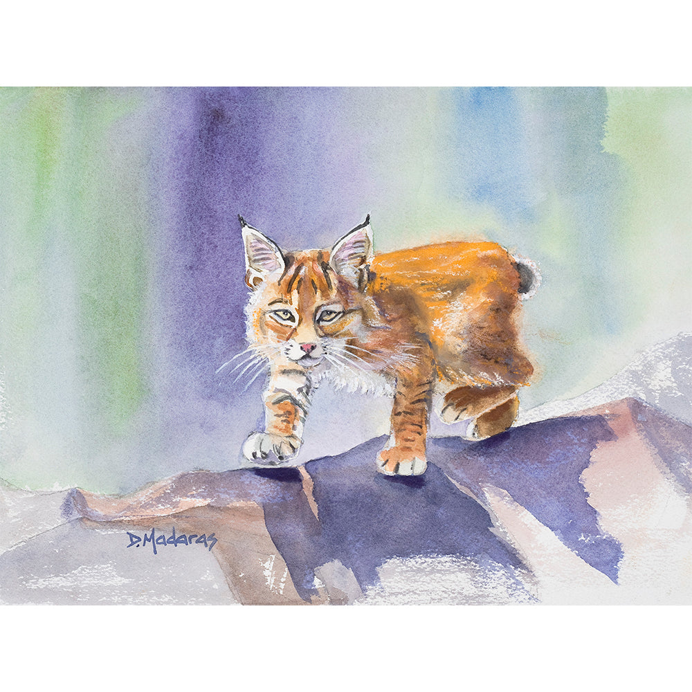 Little Prowler- Matted Print