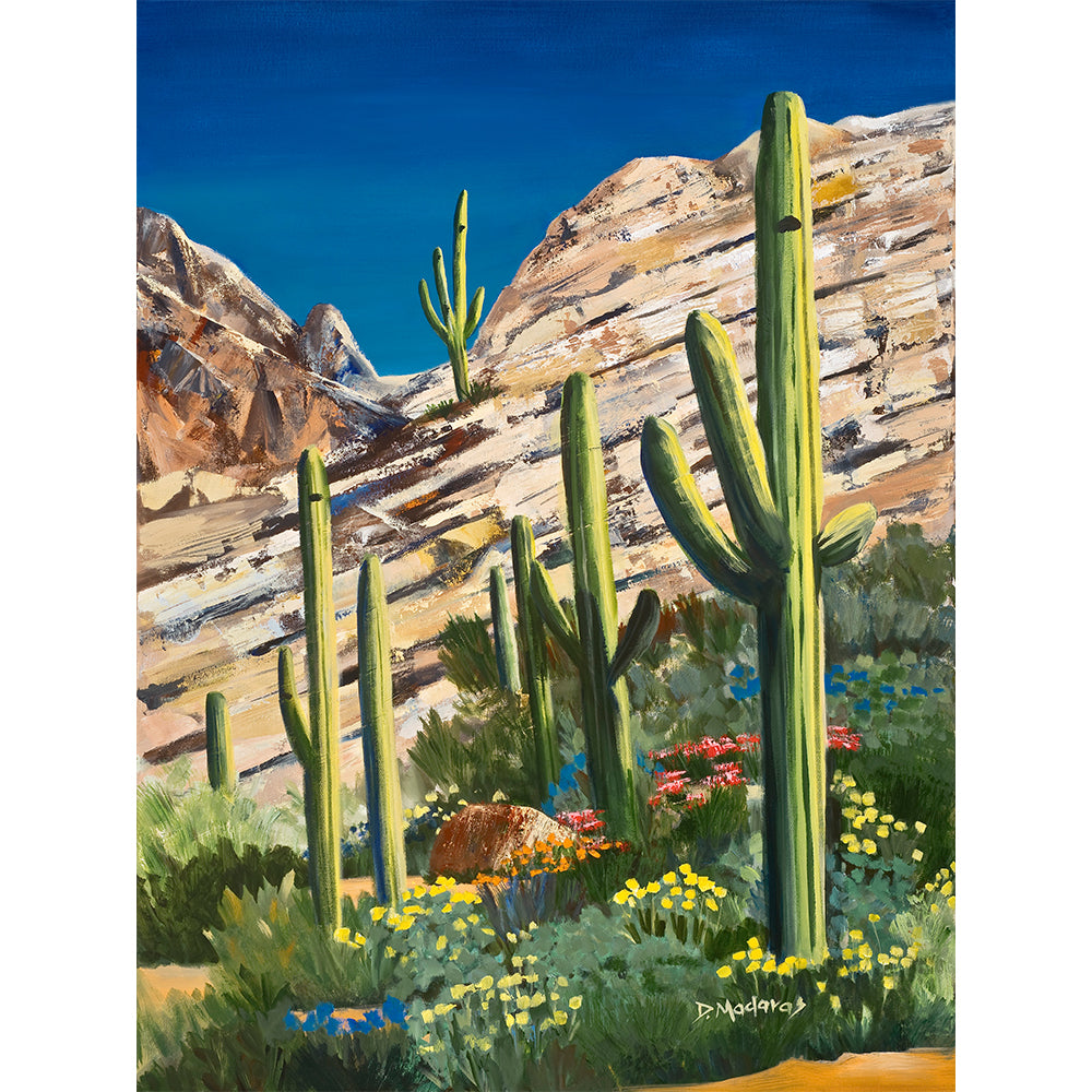 Mike's Saguaros- Canvas