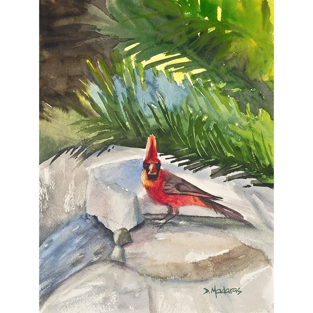 Mom's Cardinal - Matted Print