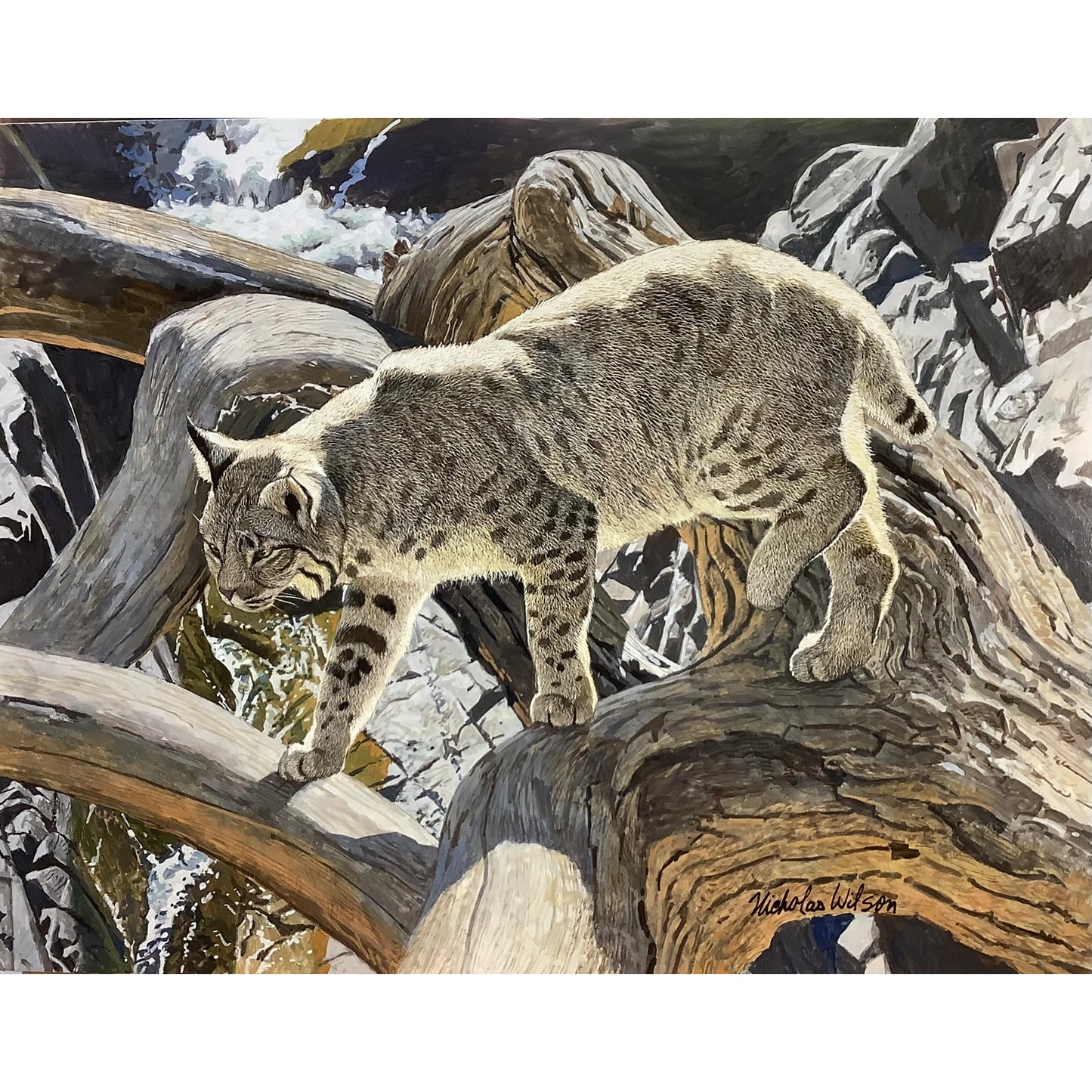 Natural Bridge by Nicholas Wilson