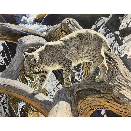 Natural Bridge by Nicholas Wilson