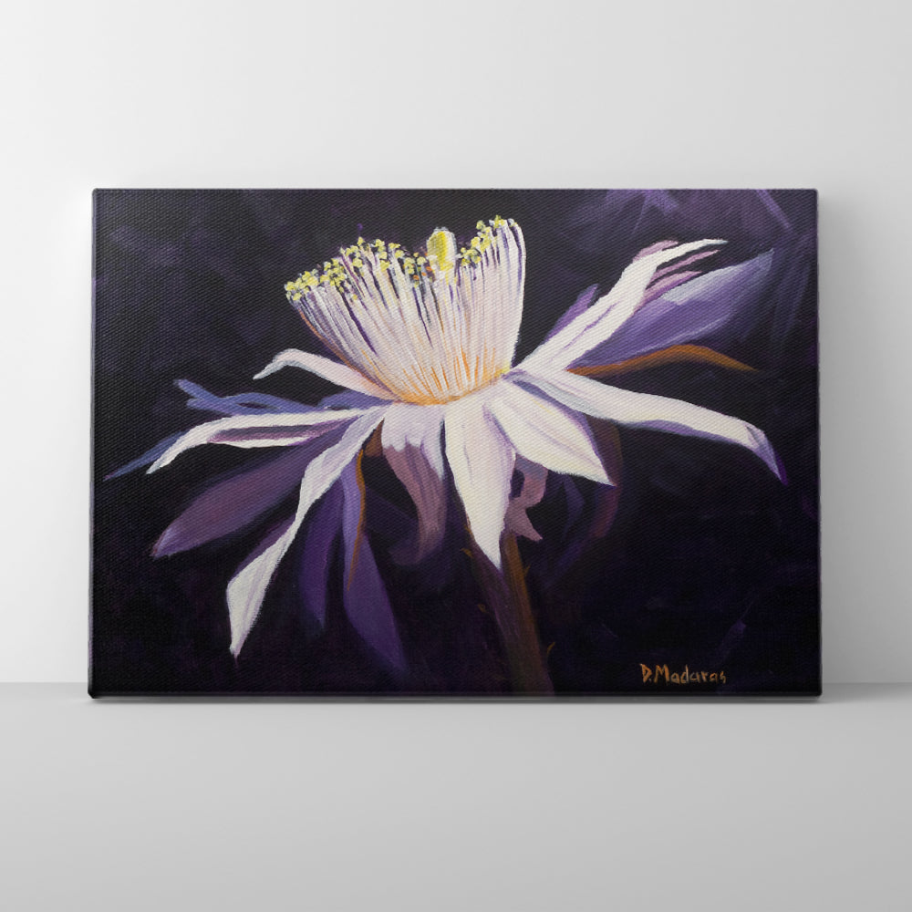 Night Blooming Cereus 2- Canvas